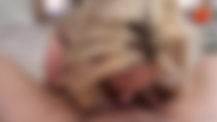 ted.27.01.15.dahlia.sky_1080p.mp4