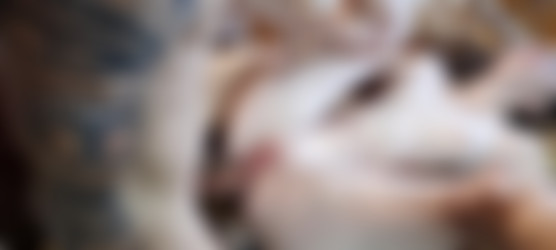 Pornhub.com - HomeTrawka/Громко стонет от анала и получает сперму в упругую попку.mp4