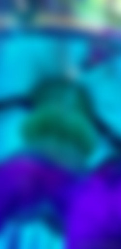 [OnlyFans.com] Christy Mack (@christymack)/photos/19-03-07 3418763-01 I haven't seen the sun in a while, so I decided to visit the sun bed for a coupl(..) 1592x3264.jpg