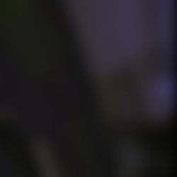 [All Worlds Video] The Night Has Eyes.wmv
